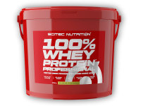 100% Whey Protein Professional 5000g