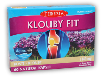 Klouby fit 60 kapslí