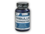 Tribulus Terrestris 100 tablet