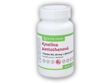 Kyselina pantothenová B5 40mg 100 tablet