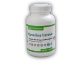 Vitamin B9 Kyselina listová 500 tablet