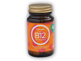 Vitamine B12 with Folic Acid 90 pastilek