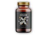 Curcumin & Piperine 60 rostlinných kapslí kurkumin