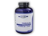 Tribulus Terrestris 90% +B6+Zinek 240cps