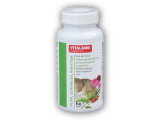 Vitaland Hlíva+ Echinacea+ Rakytník 60 kapslí