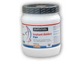 Instant Amino Fair Power 400g