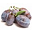 příchut plum